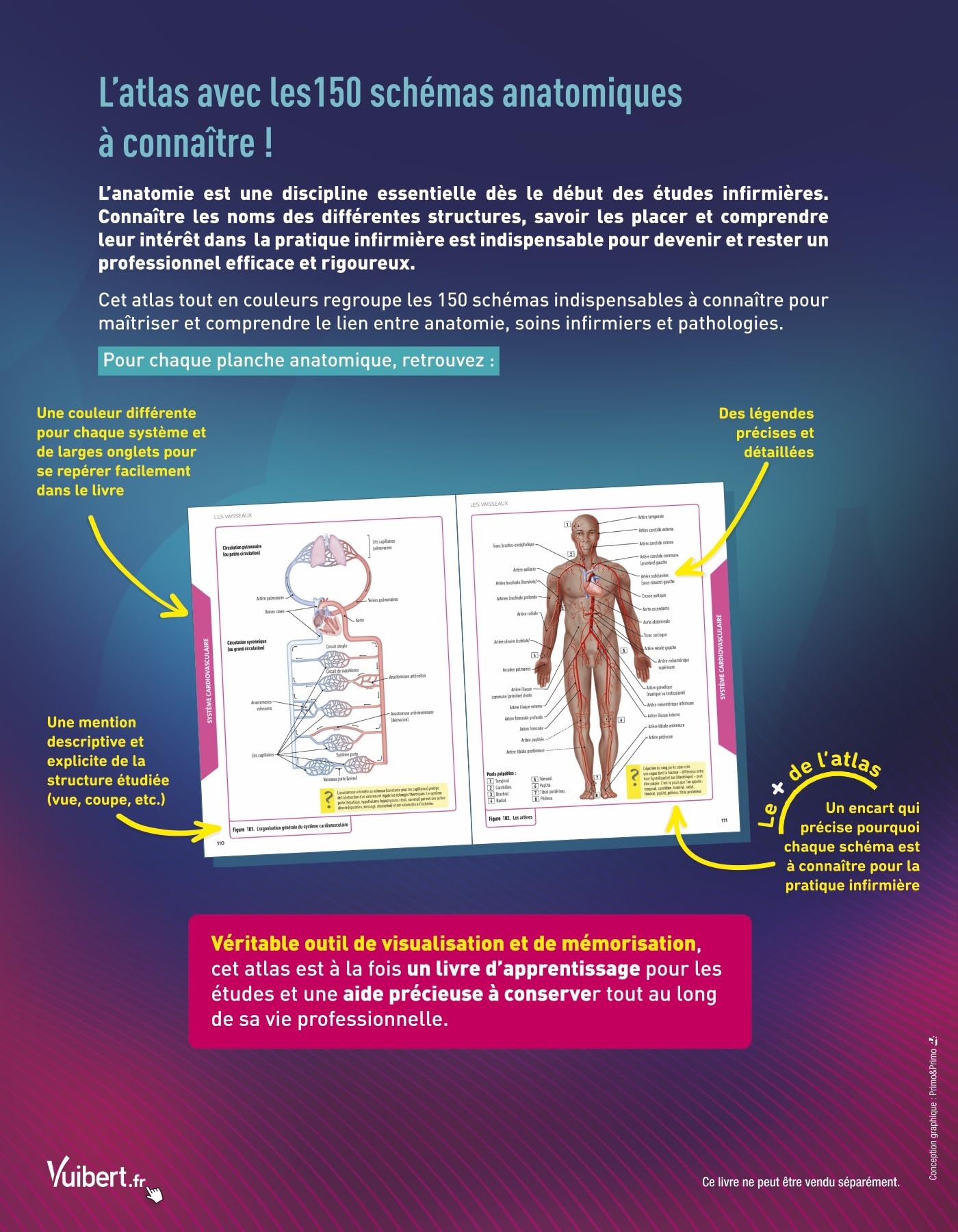 Mon atlas d'anatomie - Etudiants en IFSI: 2 livres dans une pochette : un atlas annoté et un cahier avec 150 illustrations en couleur à légender
