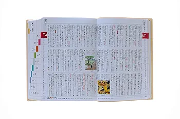 新レインボー小学国語辞典 改訂第6版 ディズニー版