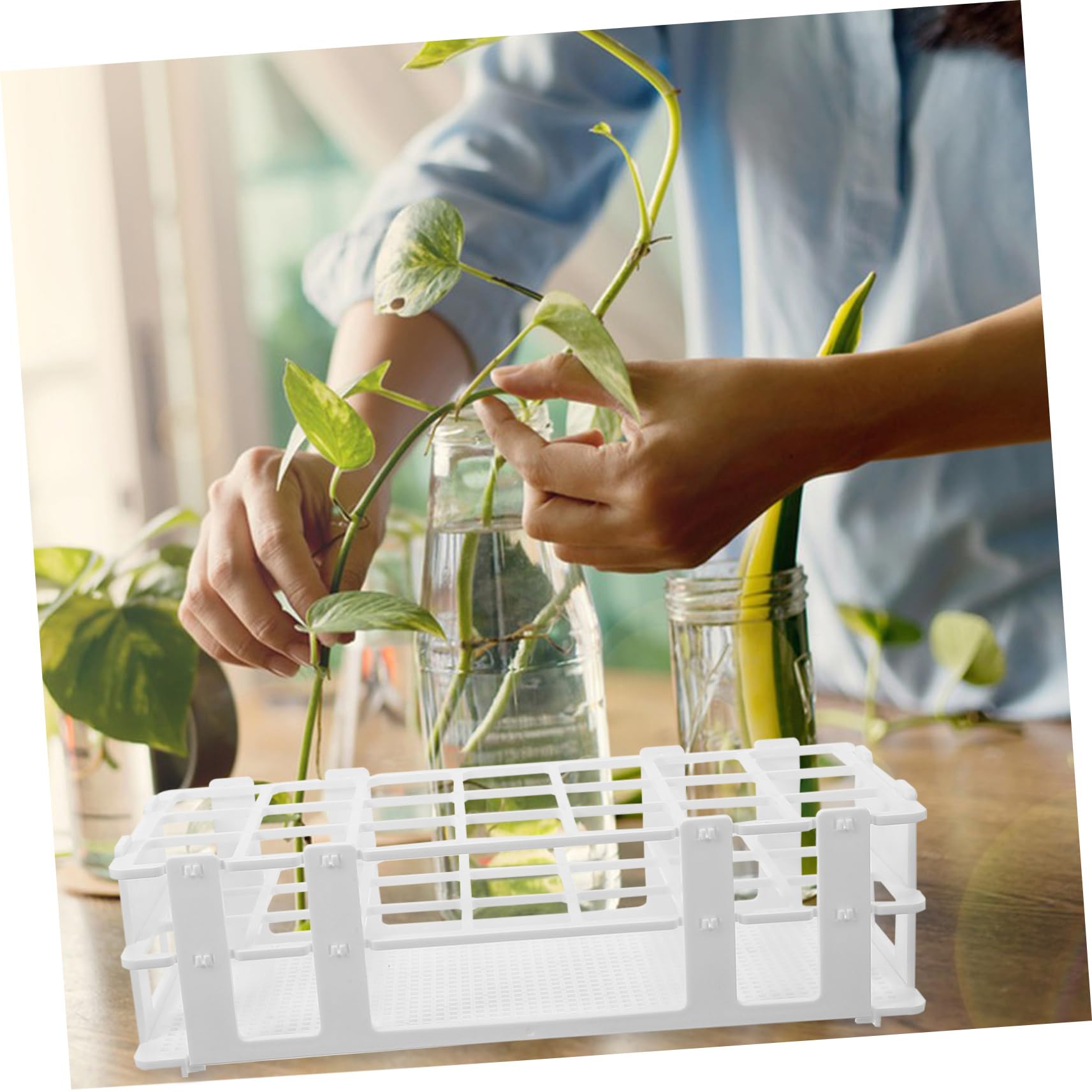 HOOTNEE Water Plant Tubes Rack Hydroponic Glass Tube Holder Elegant and Functional Plant Display Stand