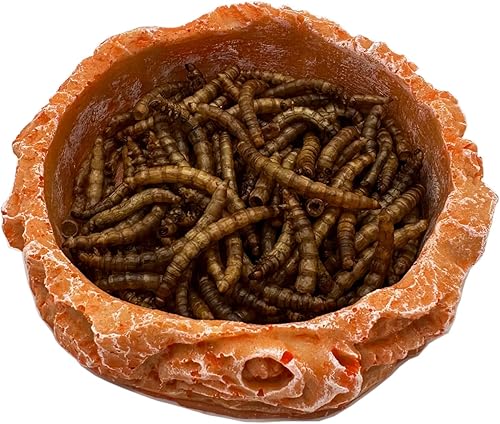 Miniatura 15 de Plato pequeño de comida para reptiles, paquete de 2 cuencos de comida para reptiles para dragón barbudo, gecko, lagarto, rana, cangrejo ermitaño