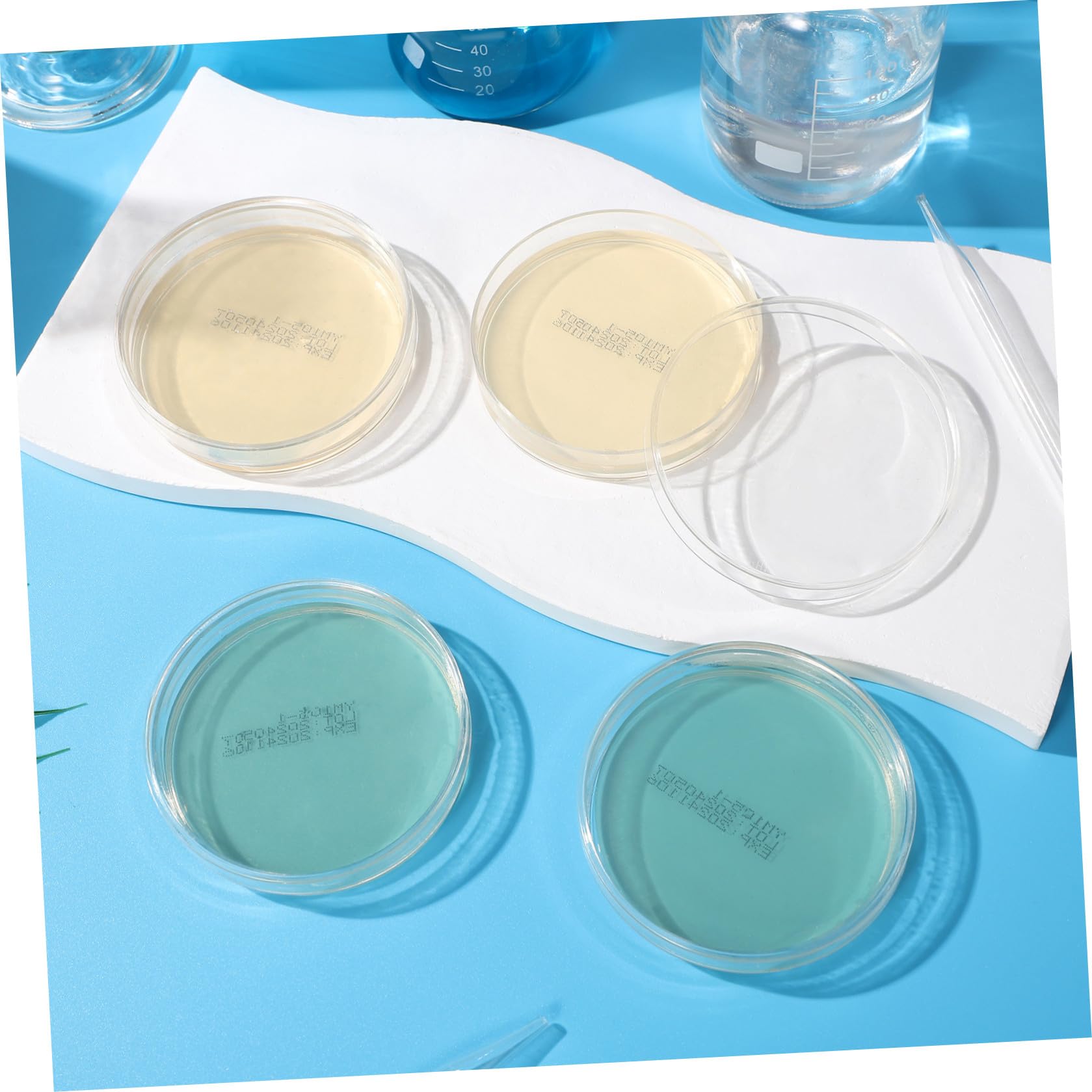Piastre Petri Agar Nutrienti 7cm Pronte All’uso, 10 Pezzi | Esperimenti di Microbiologia e Scienze Stem, Supporto Didattico per Studenti e Scuola