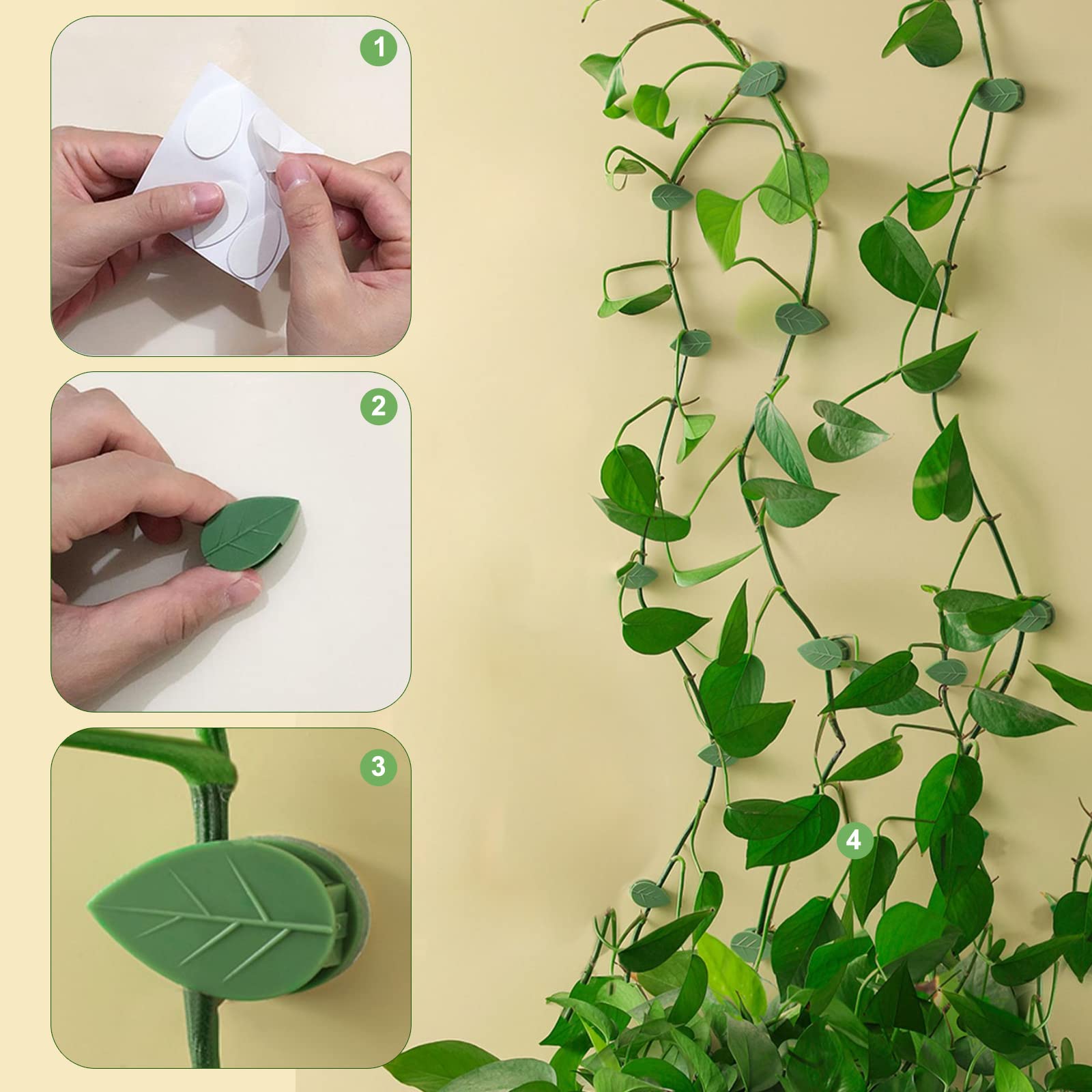 Attaches Plantes Grimpantes - 50 Clips Feuille Avec Adhésif Pour Mur Intérieur/Extérieur
