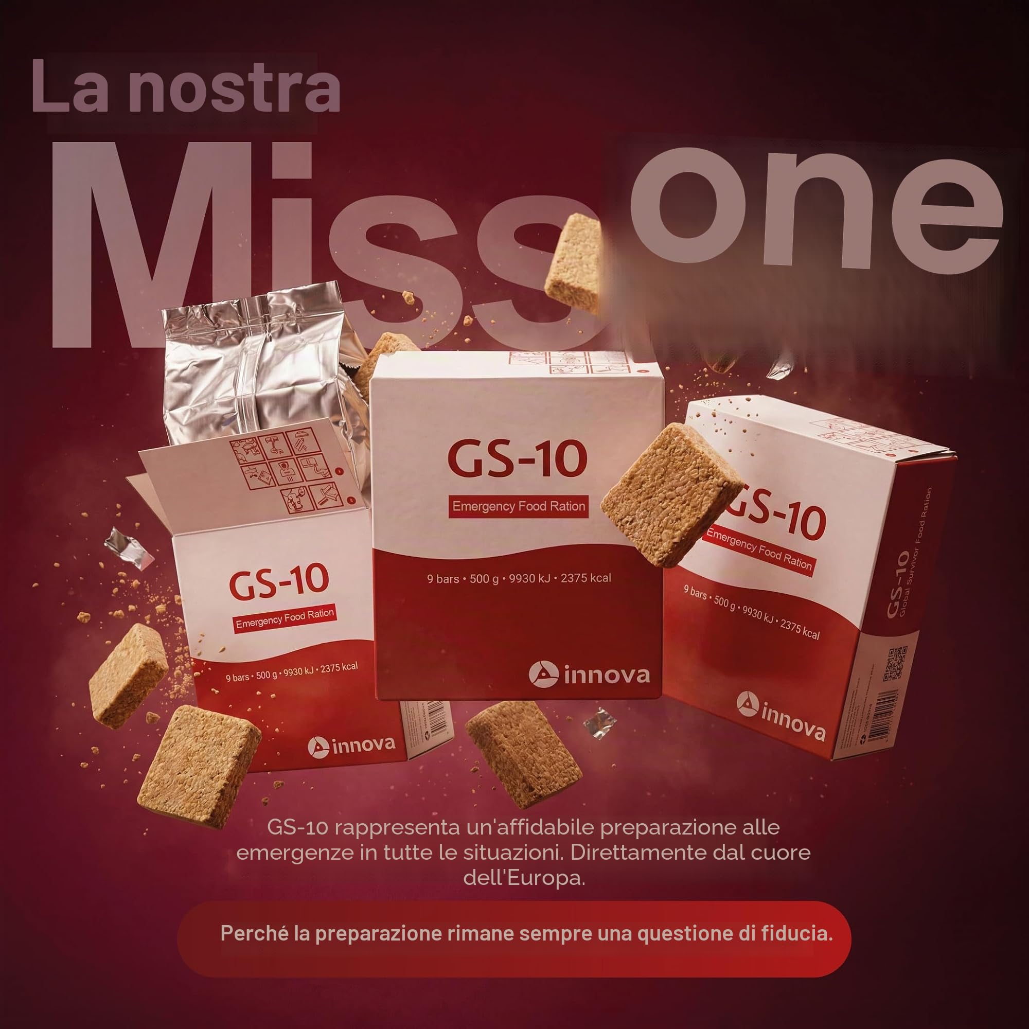 Prodotto speciale GS-10 Cibo di emergenza 24 x 500 grammi cibo a lungo termine - durata di conservazione estremamente lunga