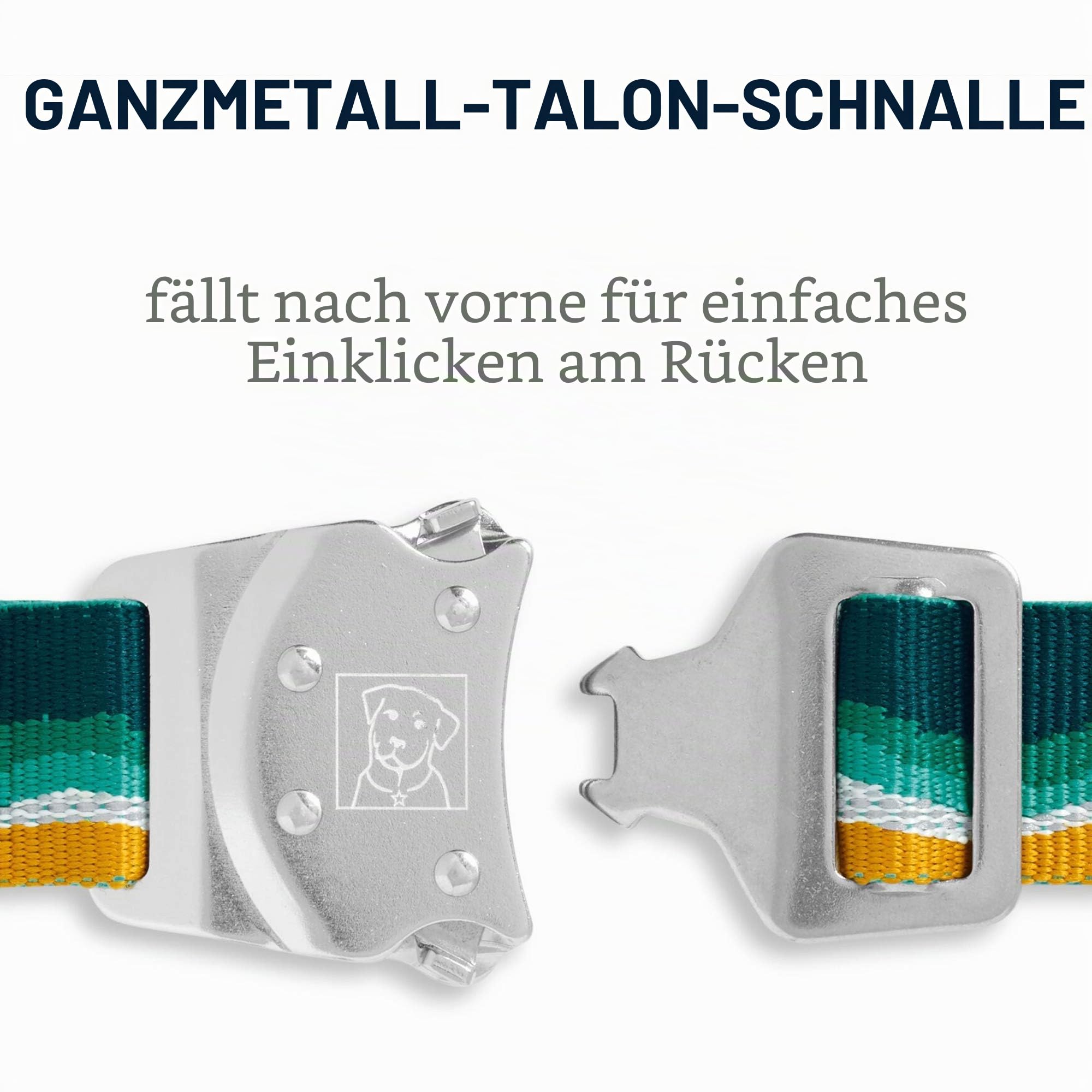 RUFFWEAR Top Rope Hundehalsband, Reflektierendes Halsband mit Metallschnalle für den Täglichen Gebrauch, Meeresschaum, 28–36 cm