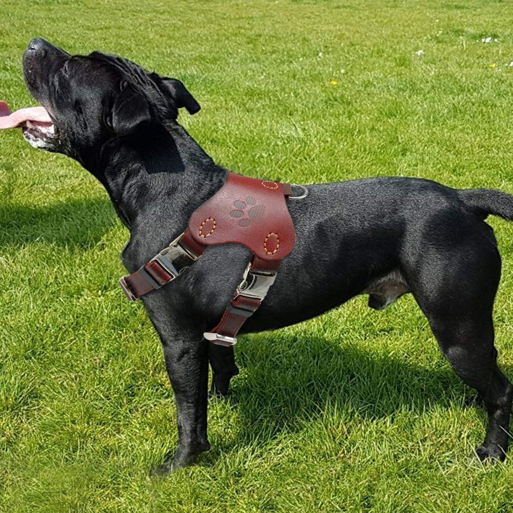 Hundegeschirr, Halsbänder, Geschirre, echtes Leder, Hundehalsband, Weste, große Hunde, Trainingsgeschirre