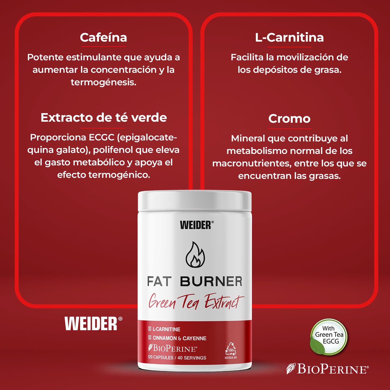 best l carnitine for sperm Amazon.com: Premom Sperm Fortify, Male Fertility Supplements with KSM-66  Ashwagandha, CoQ10, Zinc, Methylfolate, Selenium, & Acetyl L-Carnitine,  Supports Mens Sperm Health, Motility, & Count*, 60 Veggie Capsules : Health  & Household