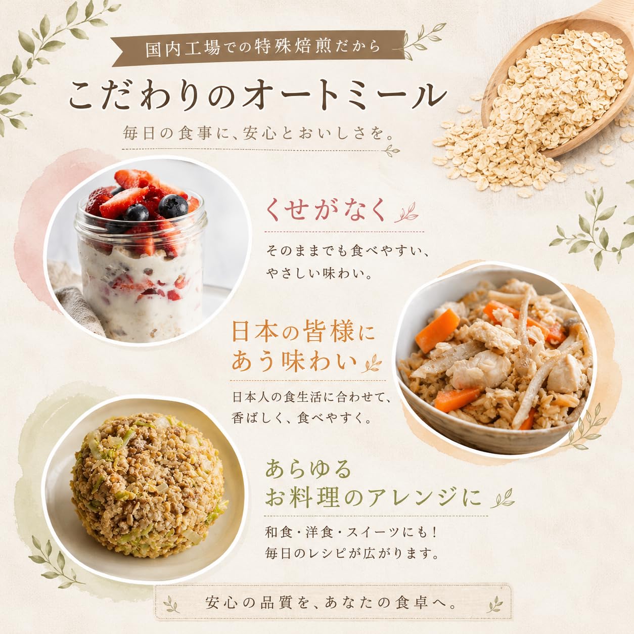 Amazon.co.jp: 日食 プレミアム ピュア オートミール 500g ×3個