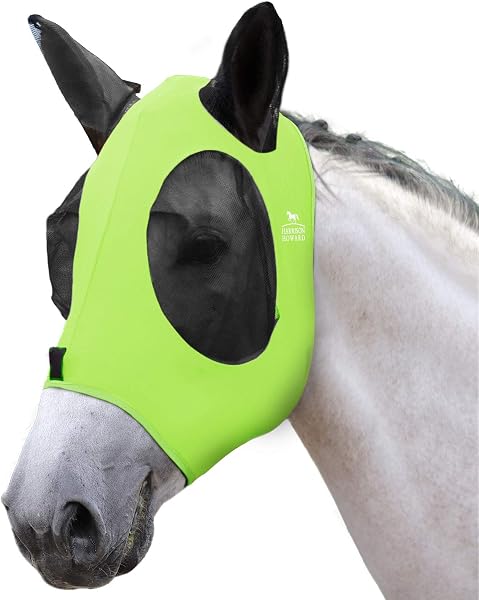 Maschera di Harrison Howard Horsefly-Fluro-Limonka (M; Cob) - 2