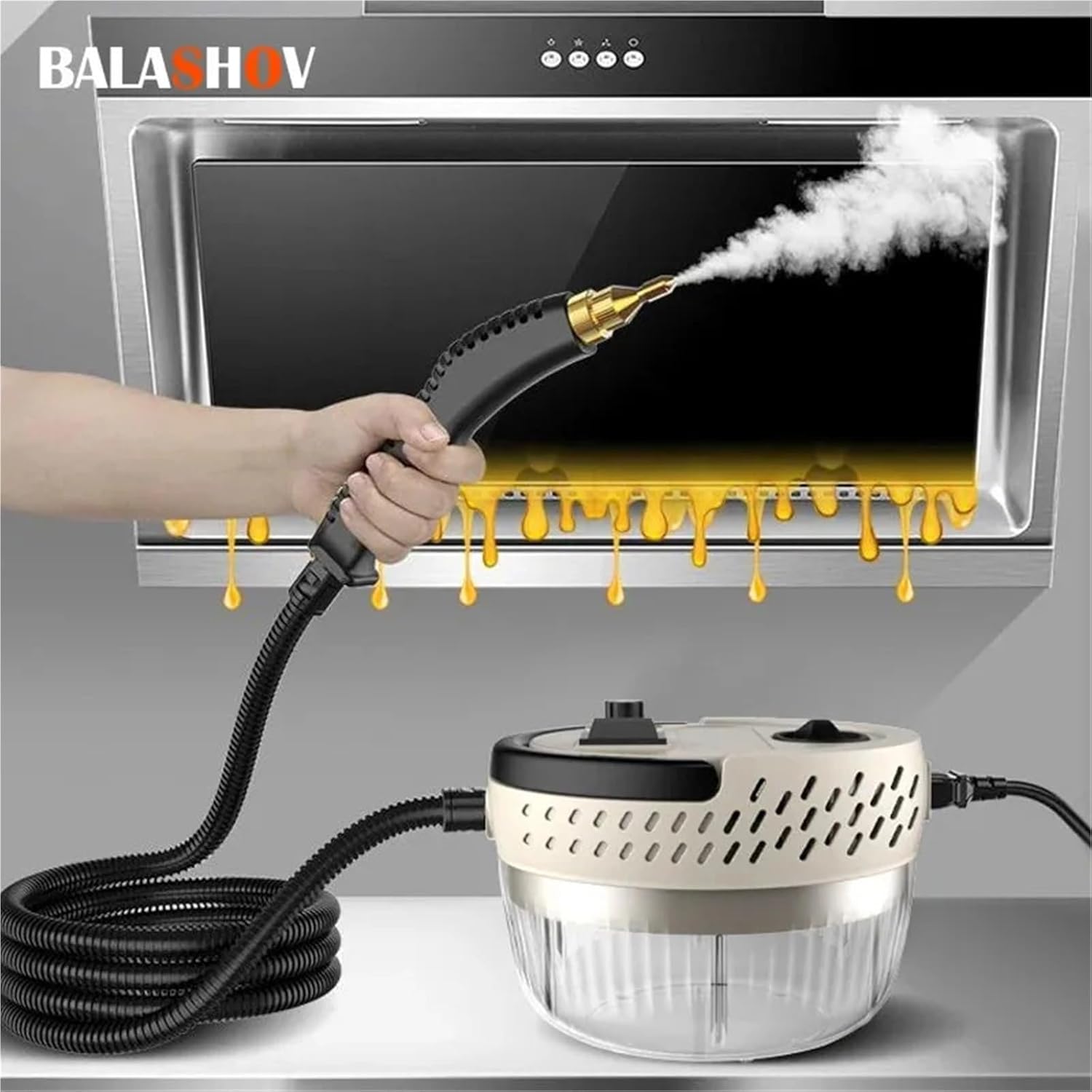 Steam Cleaner High Pressure and Temperature Sterilization 2500W Handhled Household Air Conditioner Kitchen Hood Washer(220 V)