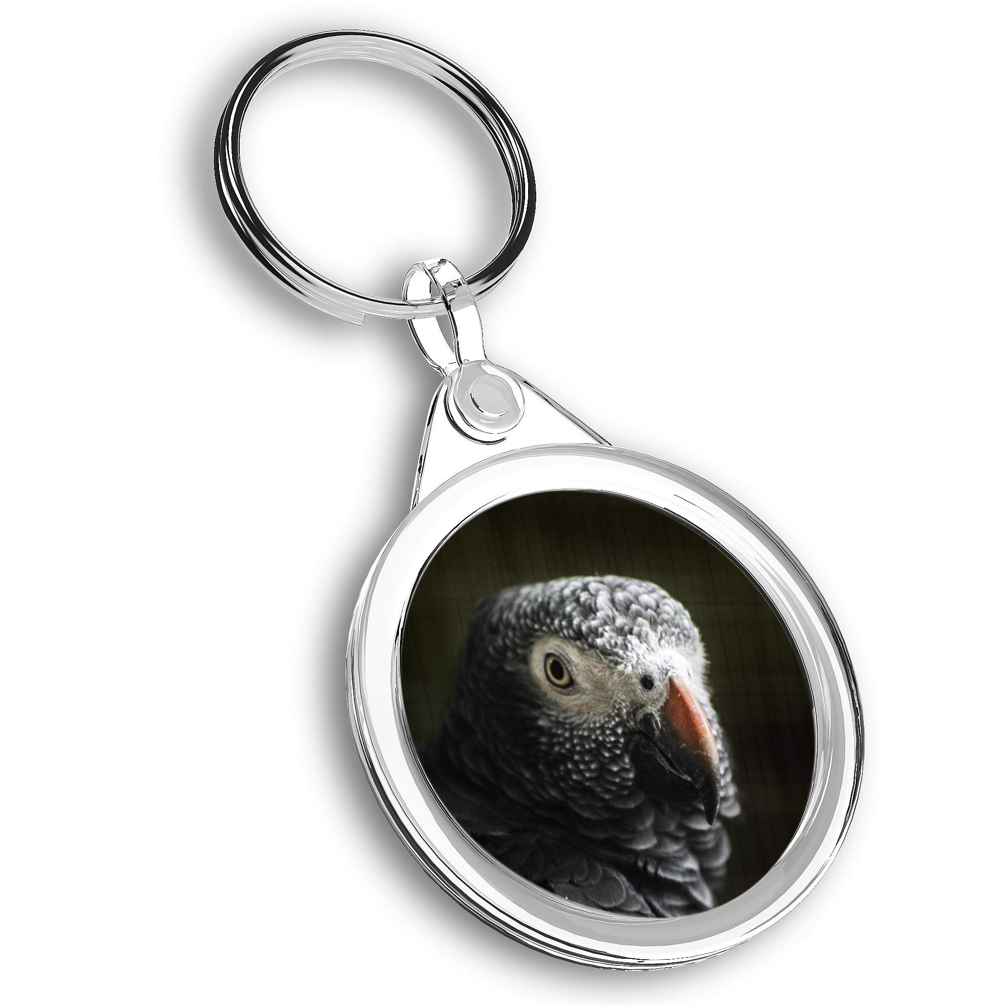 Destination Vinyl Ltd Unisex Multi 1 X Photo Keyring - African Grey Parrot Bird |Keychain|Keyring|Charm| #44038
