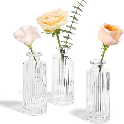 Miniatura 9 de ComSaf Jarrones Pequeños para Flores, Mini Jarrones de Cristal Transparente al por Mayor, Mini Jarrón de Flores de 5.2 Pulgadas de Alto, Jarrones