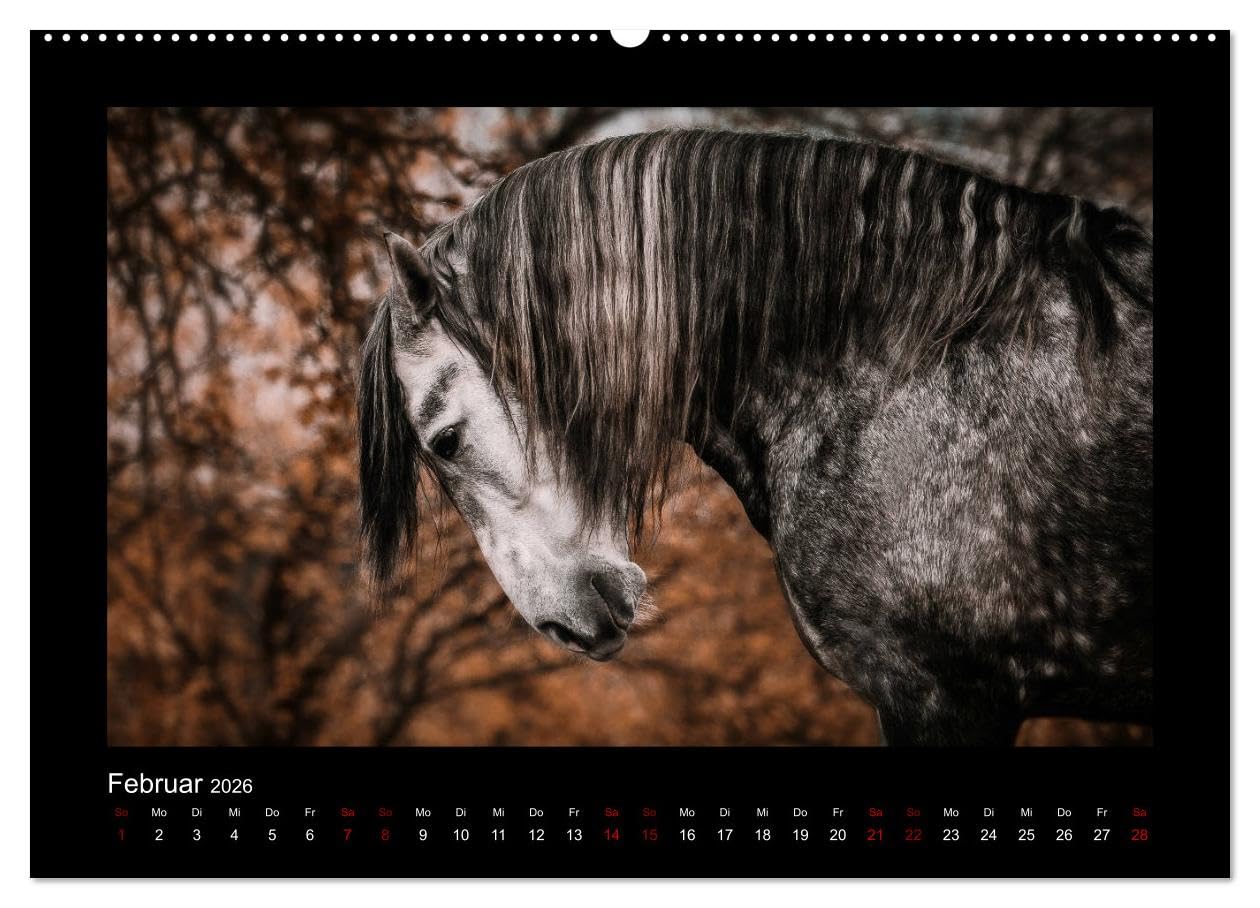 Die Faszinierende Welt der Pferde (Wandkalender 2026 DIN A2 quer), CALVENDO Monatskalender: Lassen Sie sich entführen in die Faszinierende Welt der Pferde (CALVENDO Tiere)