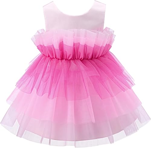 Bow Dream Baby Flower Girl Dress Tutu Princess Tulle Wedding Toddler Party Forma