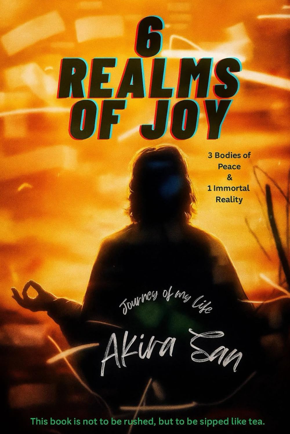 6 Realms of Joy - 3 Bodies of Peace & 1 Immortal Reality: Journey of my life