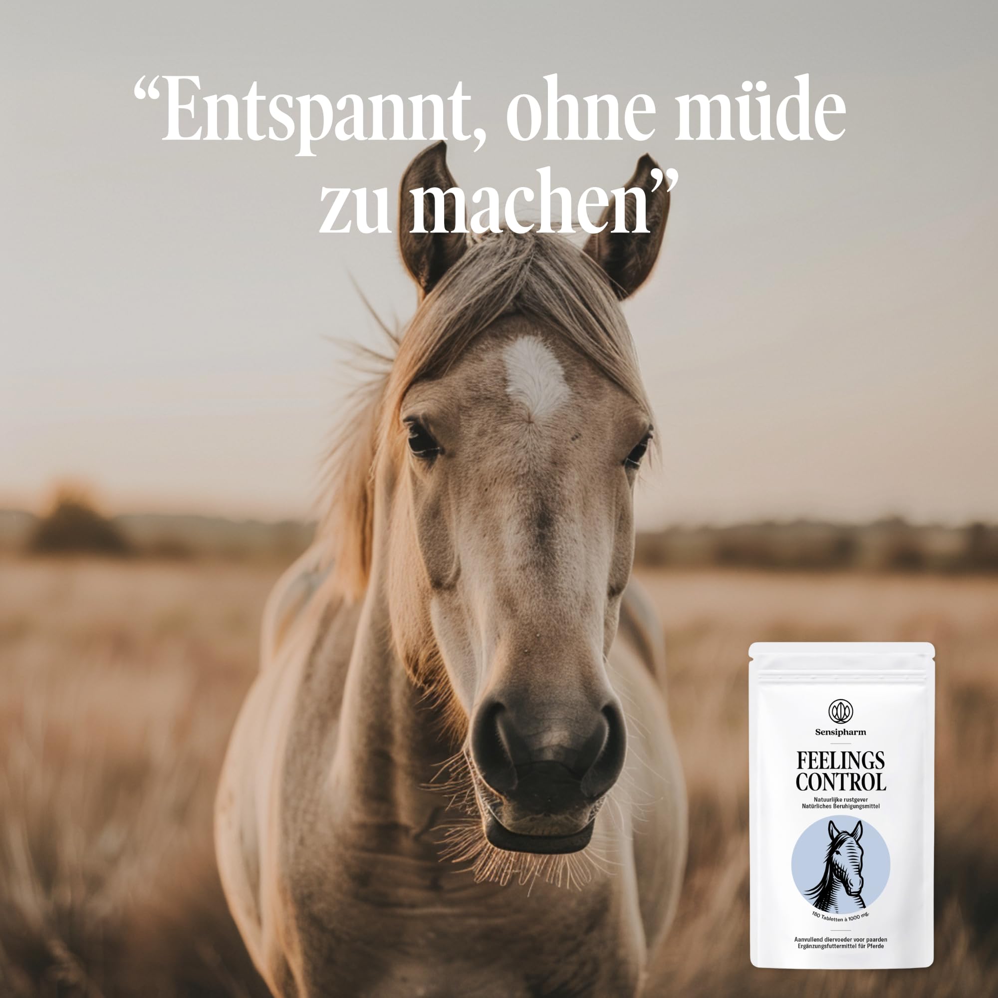 Feelings Control Pferd - Beruhigungsmittel für Pferde bei Angst, Stress & Unruhe - natürliches Anti-Stress Ergänzungsfutter bei Reisen, Training & Turnieren - 180 Tabletten à 1000 mg