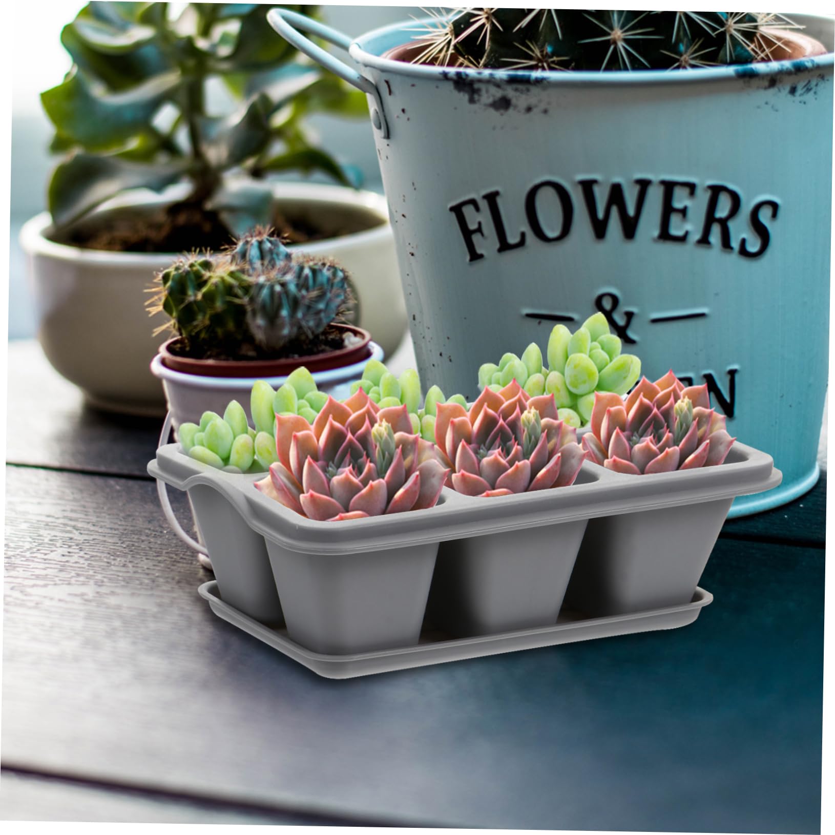 TOYANDONA 2 Series Recipiente De Vivero De 6 Rejillas para Suculentas Ideal para Cultivar Semillas De Hortalizas Germinar Plantas De Jardín Macetas para Suculentas Y 4 Piezas