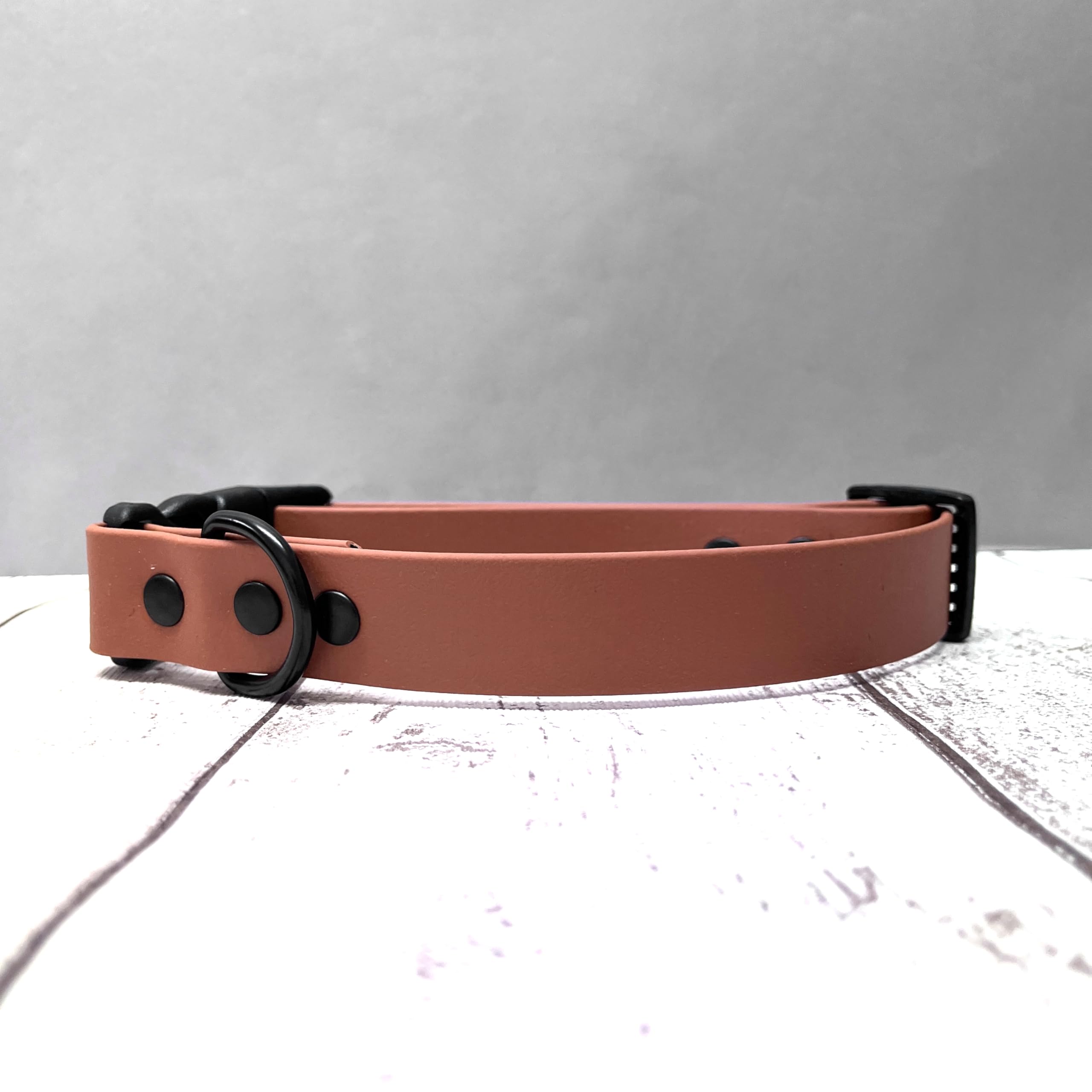 Genuine Biothane Waterproof Dog Collar with Quick Release Clasp