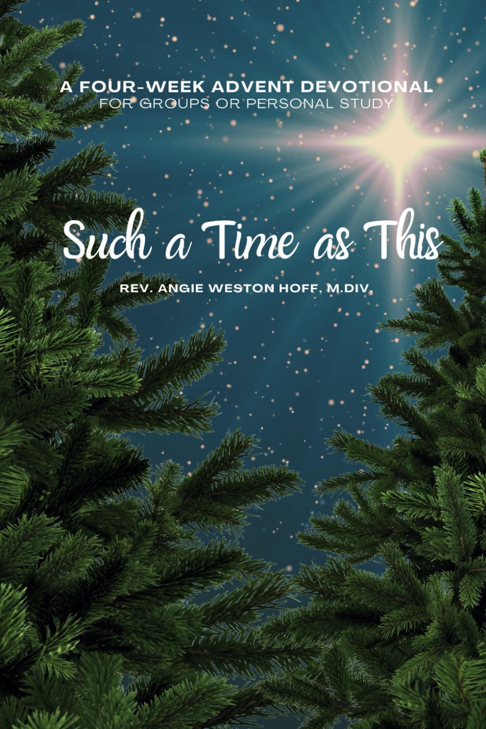 Such a Time as This: A four week Advent devotional for group or personal study