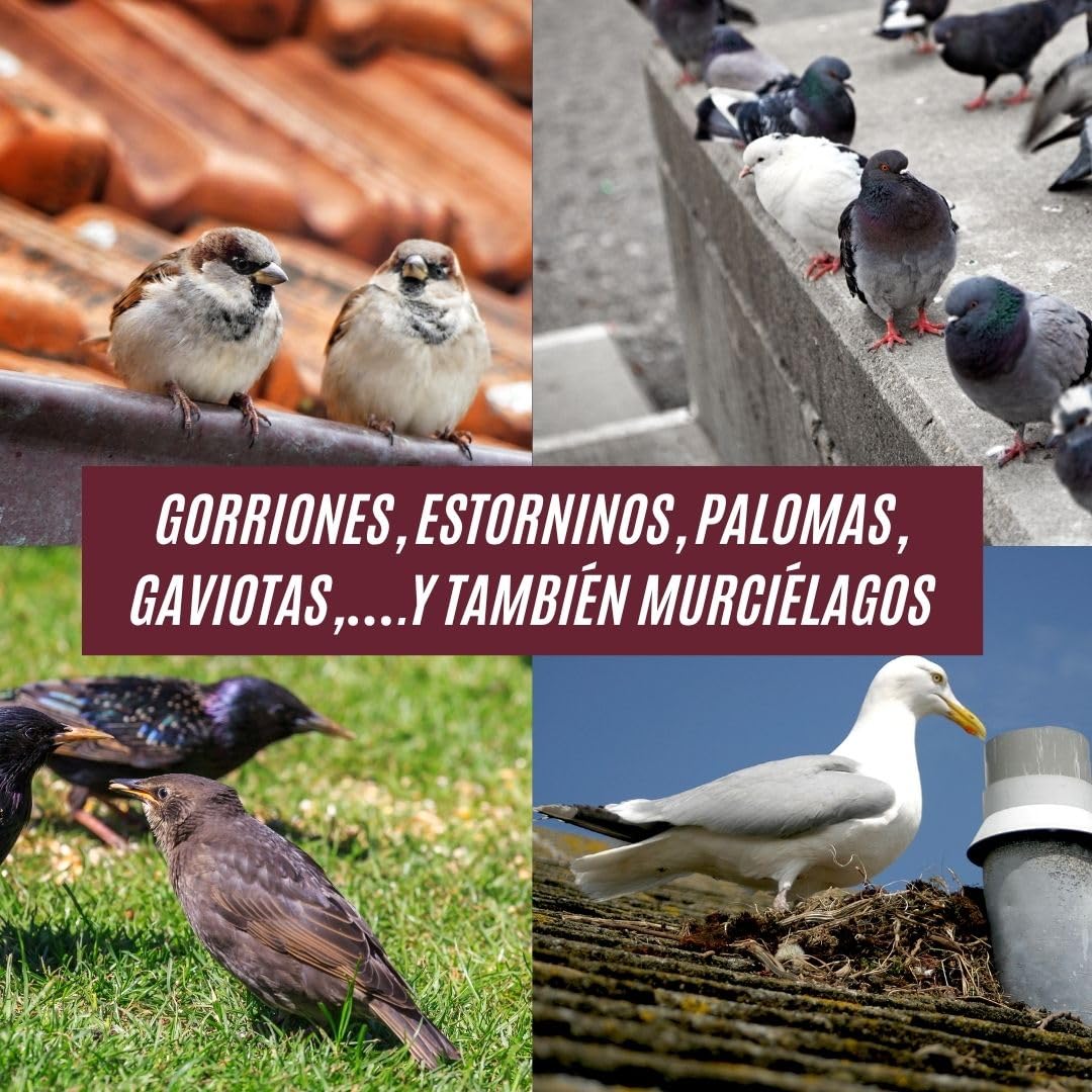Repelente de aves 1X750 ml I ahuyentador de palomas y pajaros | modificador de conducta para palomas, gorriones, gaviotas | anti palomas balcones, ventanas, edificios | ahuyentador aves