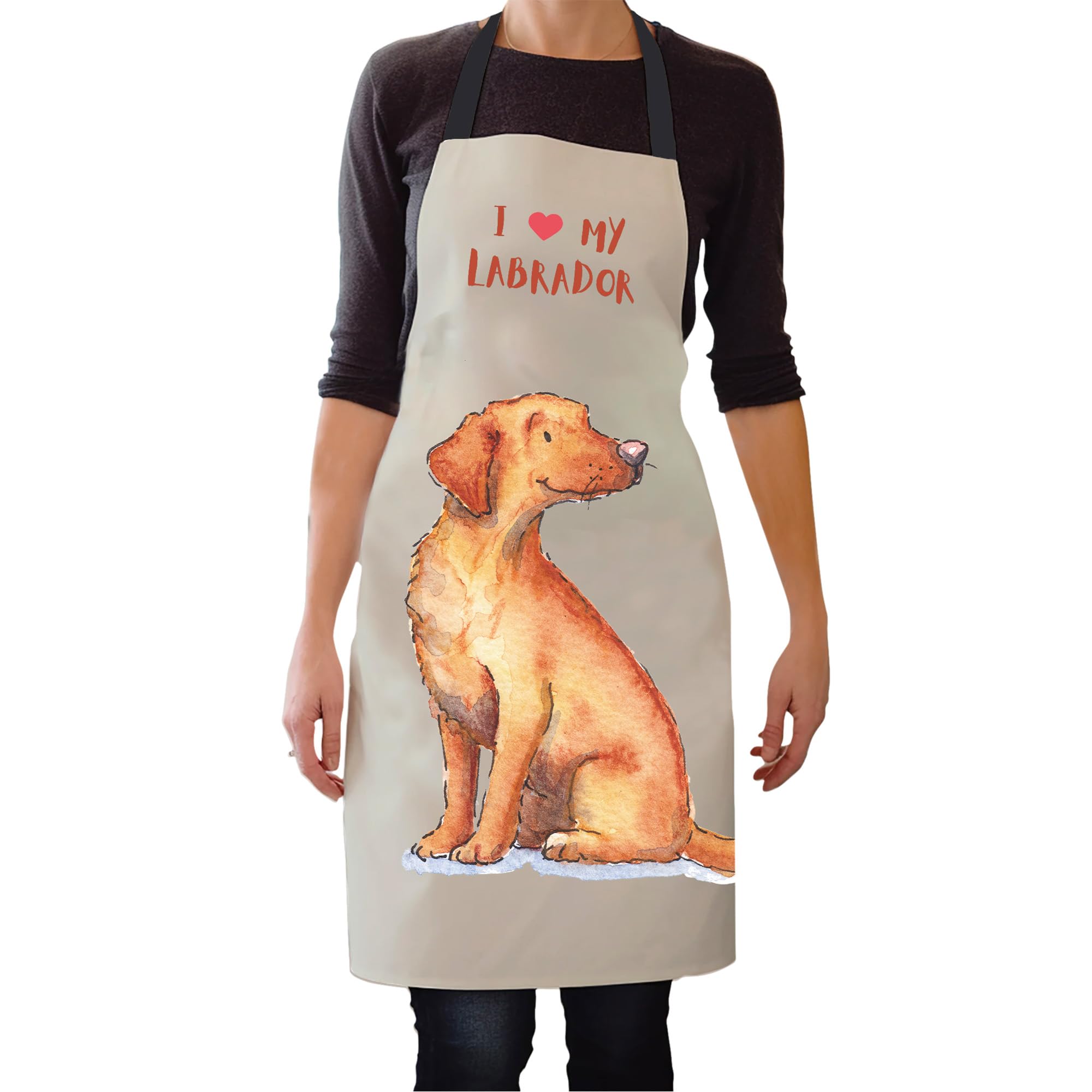 Image Industry Labrador Fox Red Apron - Kitchen Apron - Cooking & Baking - Dog Lovers - Dog Artwork