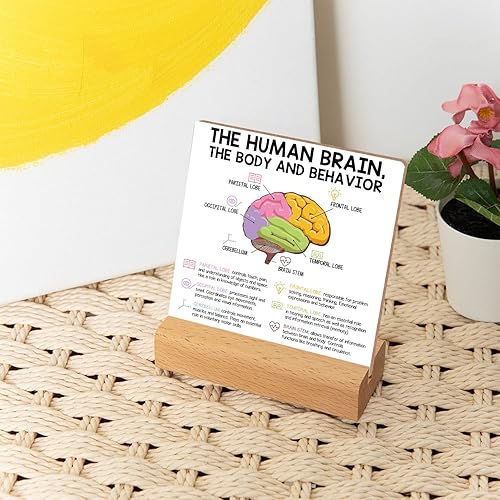 Miniatura 5 de Señal de enseñanza de comportamiento cerebral humano, regalo para maestro, terapeuta, padres, consejero, decoración para sala de tratamiento,