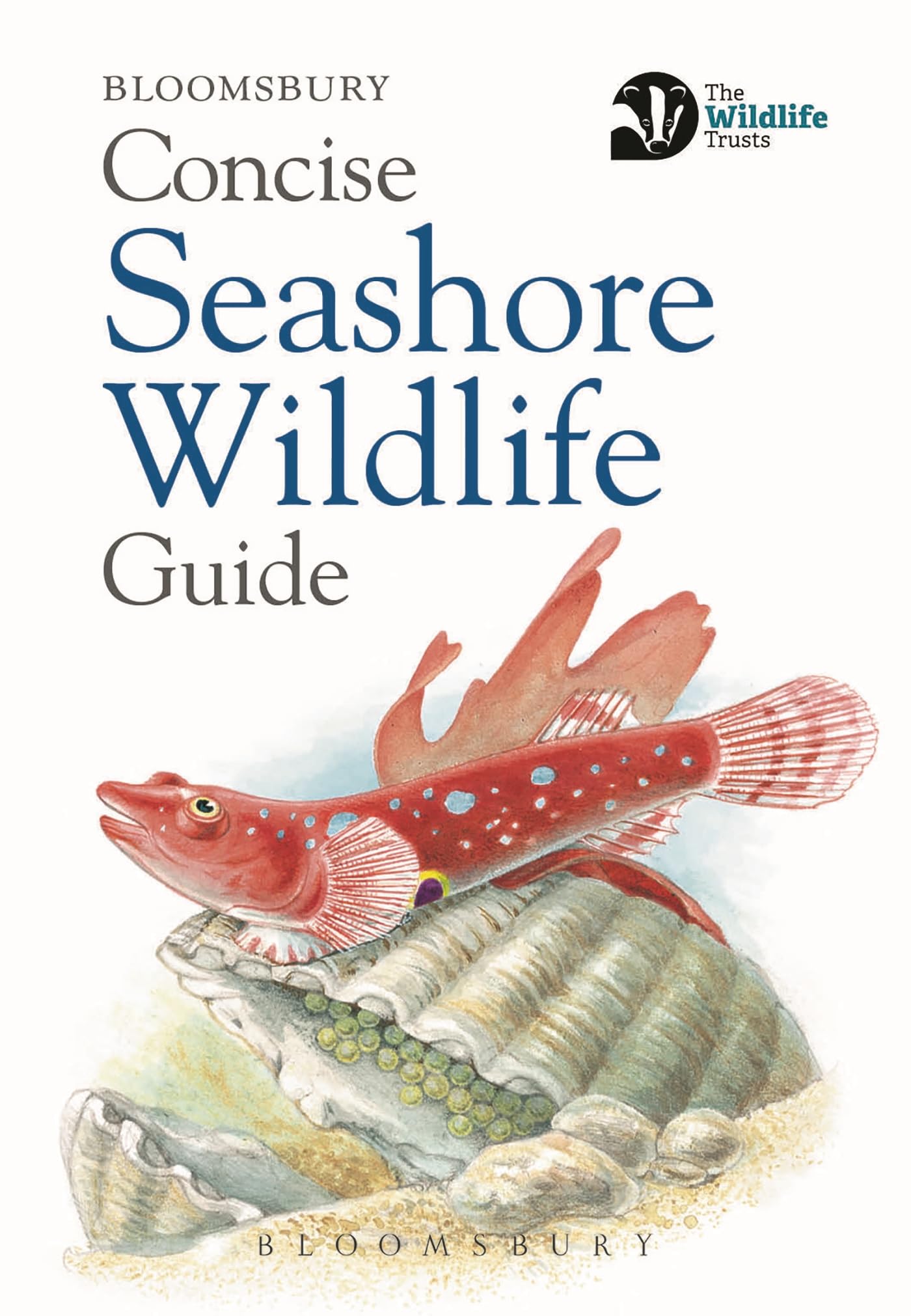 Concise Seashore Wildlife Guide (The Wildlife Trusts).by Bloomsbury New**