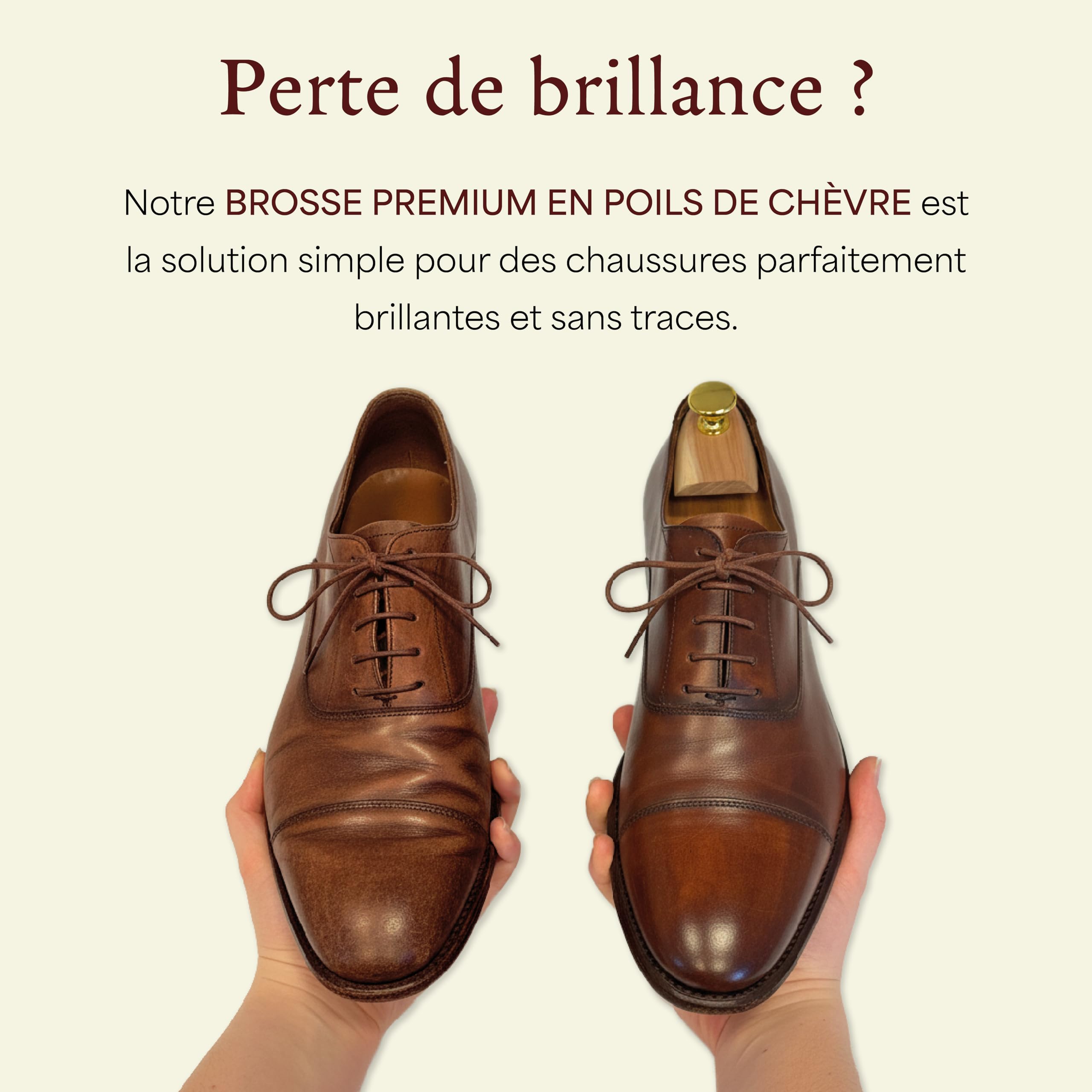 Langer & Messmer Brosse à Chaussures en Poils de Chèvre Fins - Polir et Entretien des Chaussures - Brosse à Cirer en Qualité Cordonnier