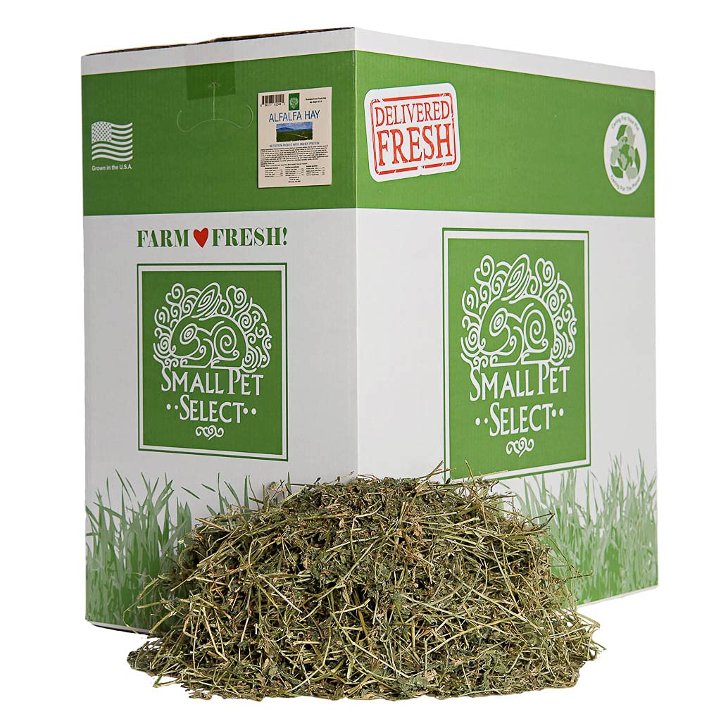 Small Pet Select Alfalfa Hay Pet Food for Young Rabbits, Guinea Pigs, Chinchillas, Tortoises and Other Small Animals, Easy to Store Box, 50lb (22.68kg)