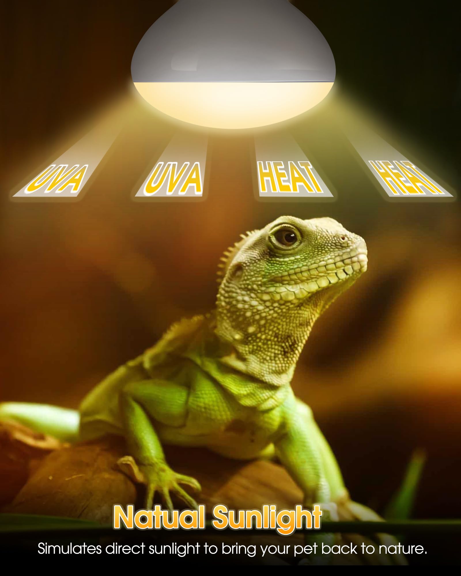 Reptile Heat Lamp Bulbs -100W UVA Natural Daylight Heating Lamp Basking Bulb for Bearded Dragon, Basking Spot Floodlight Light for Reptiles, Lizard, Turtle, Snake Bathroom, Plants,Chickens Pets,2 Pack - image 2