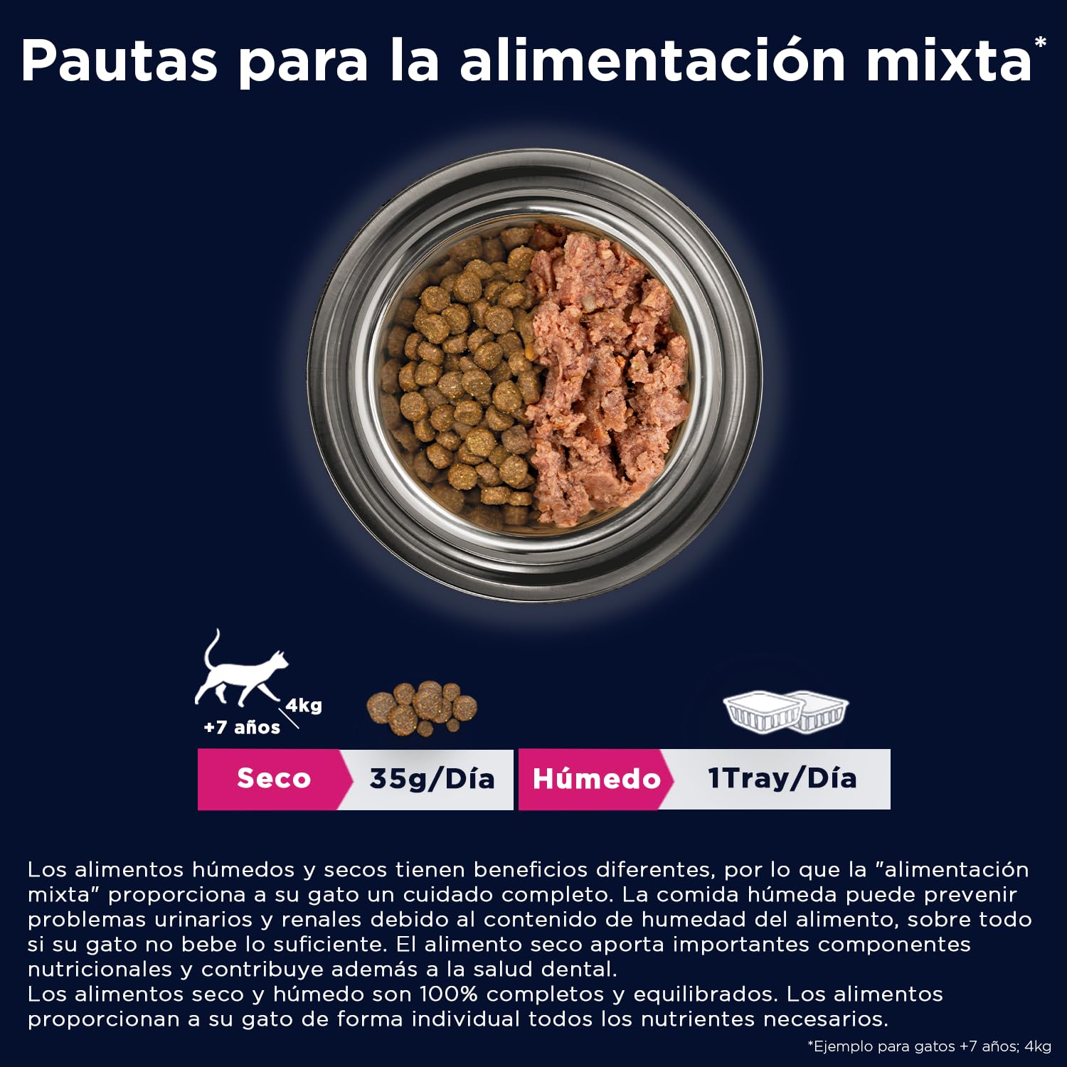 EUKANUBA Grain Free Alimento Seco para Gatos Sénior, Salmón, 10kg | Alimento seco premium | Sin Cereales | Rico en Salmón | Para Gatos Sénior