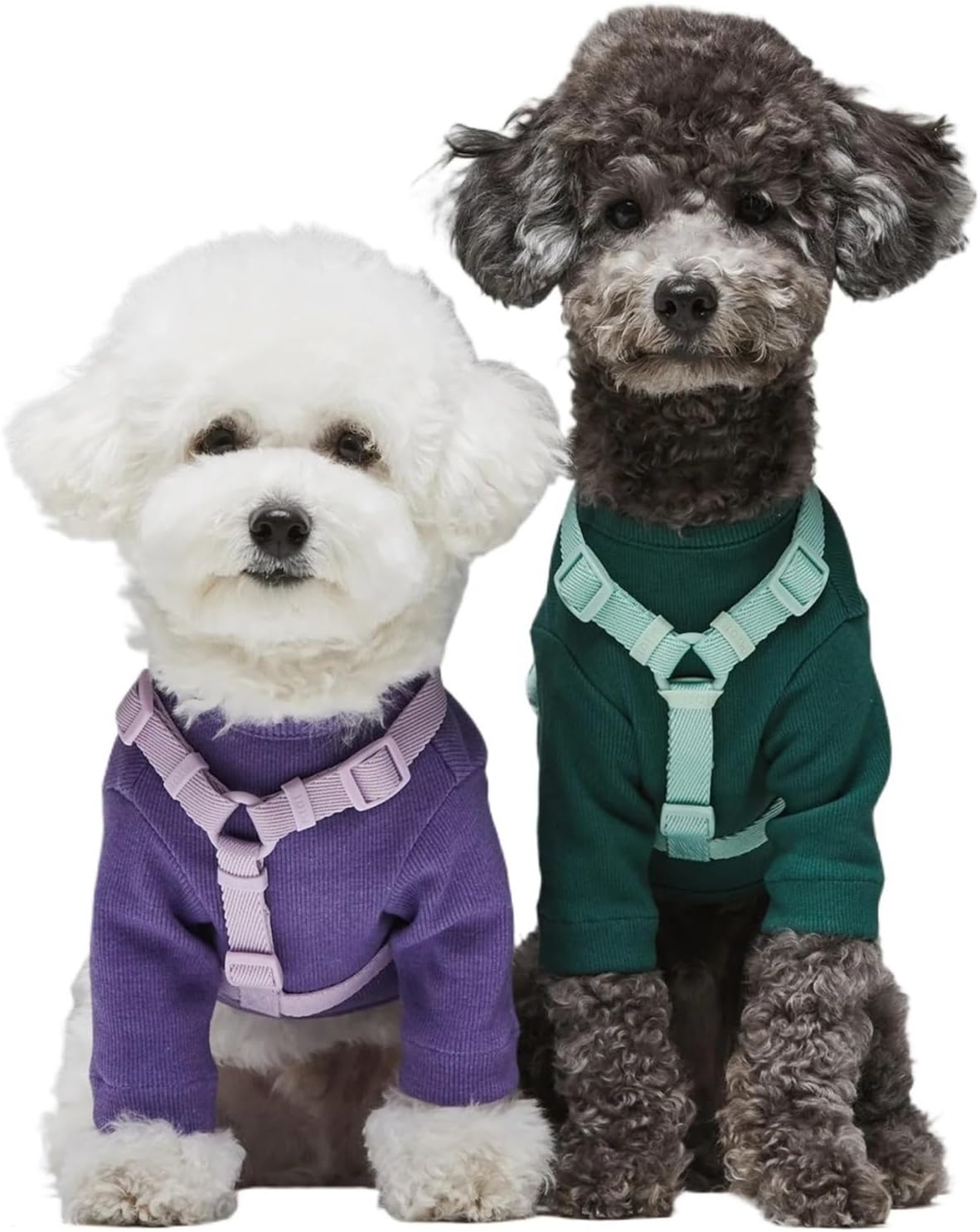 Universal Macaron Series Dual Head Harness Leash Set Adjustable for Small Medium Dogs(Natural Beige,Large)