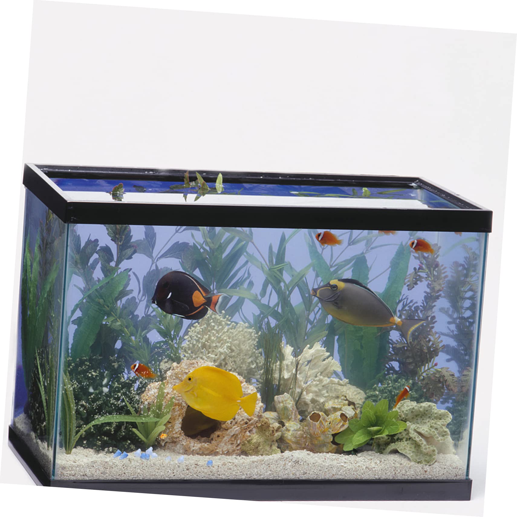 ERINGOGO Aquarium Pebbles Fish Gravel 0.5kg Decorative Gravel for Fish Tank Aquarium Substrate Stones