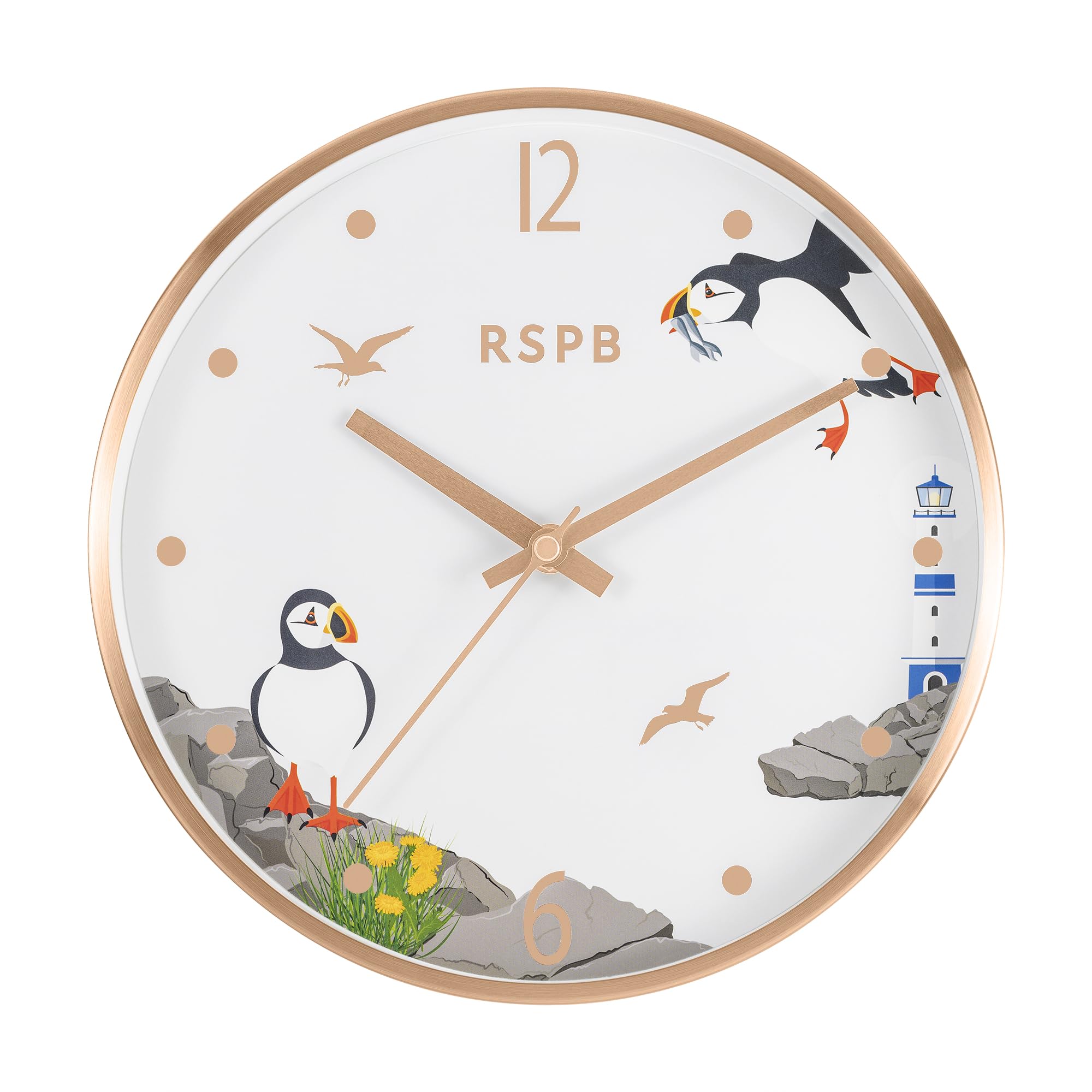 Tikkers Multicolour Rspb Puffin Bird Printed Dial Wall Clock