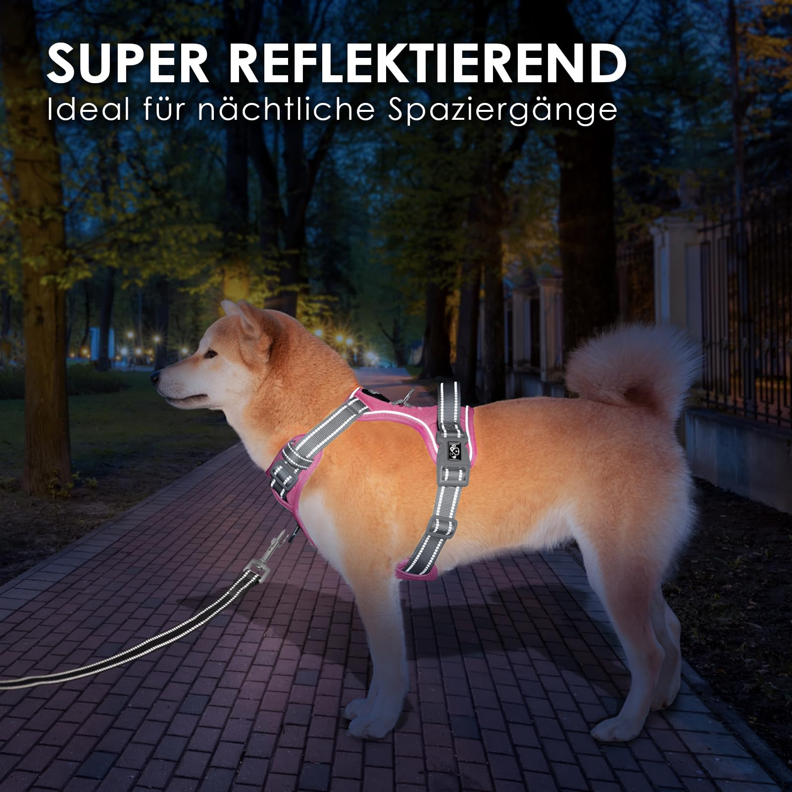 PHOEPET Anti-Pull Dog Harness, Reflective Adjustable Puppy Safety Harness for Small Medium and Large Dogs (L - Image 4