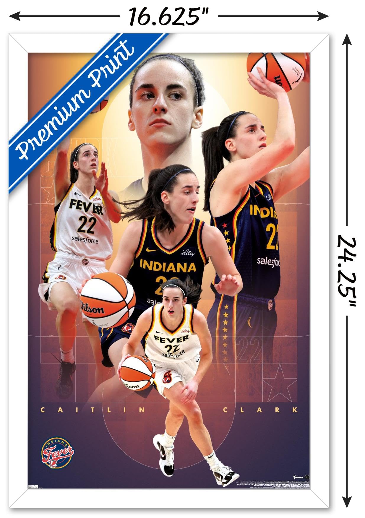 Amazon.co.jp: Trends International WNBA インディアナ・フィーバー 
