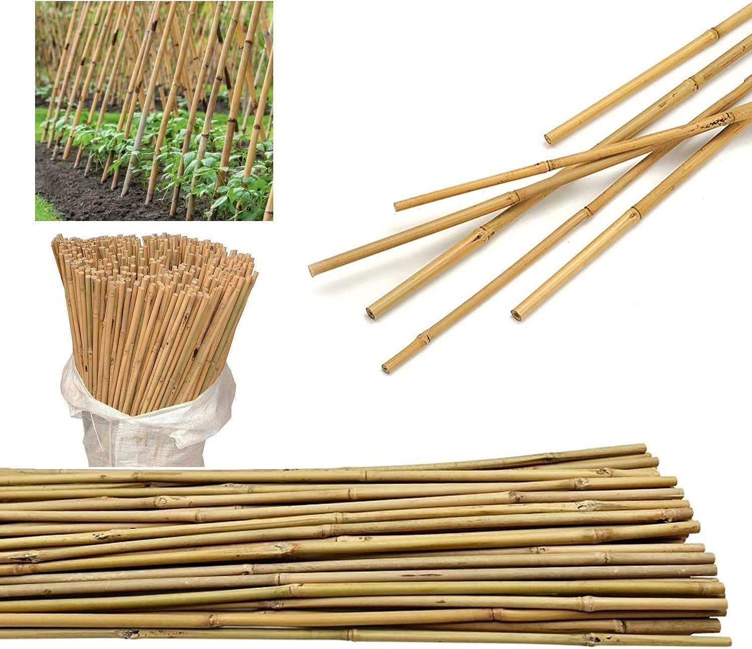 x10 Bamboo Canes 6ft Sustainable Garden Solution Heavy Duty Sticks Stake for Plant Flower Vegetable Support 10-12mm thicknesses