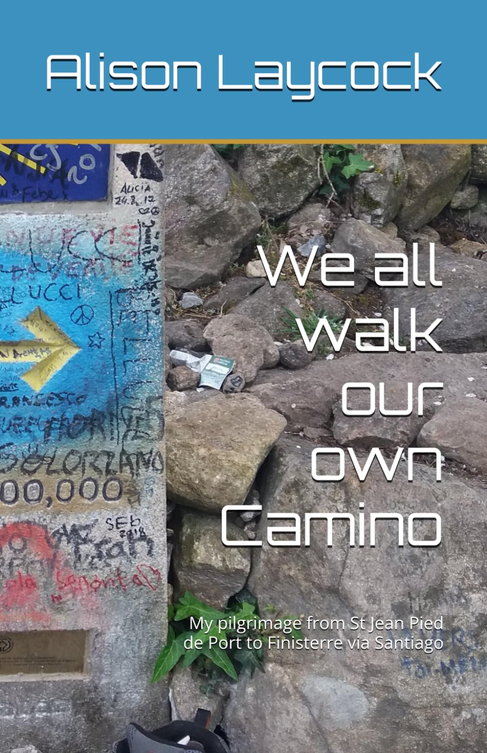 We all walk our own Camino: My pilgrimage from St Jean Pied de Port to Finisterre via Santiago