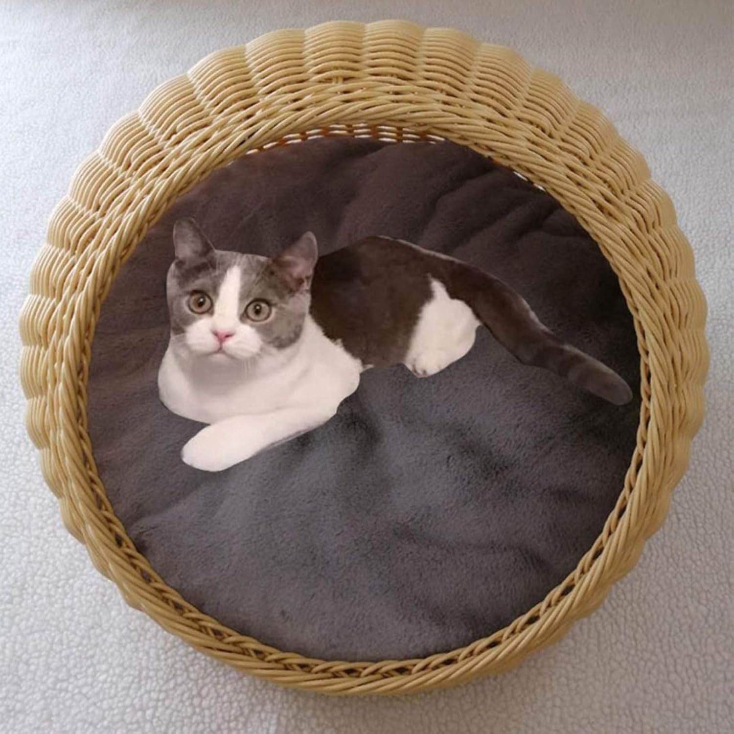 Amazon 猫 猫用 ドーム おしゃれ ラタン ベッド L ベット かご 室内 ねこ ネコ ベージュ ドームベッド おしゃれベッド ラタンベッド ペットベッド キャットハウス キュートな猫用ハウス 籐 円形 猫 犬小屋 キャットハウス Thld ベッド クッション 通販