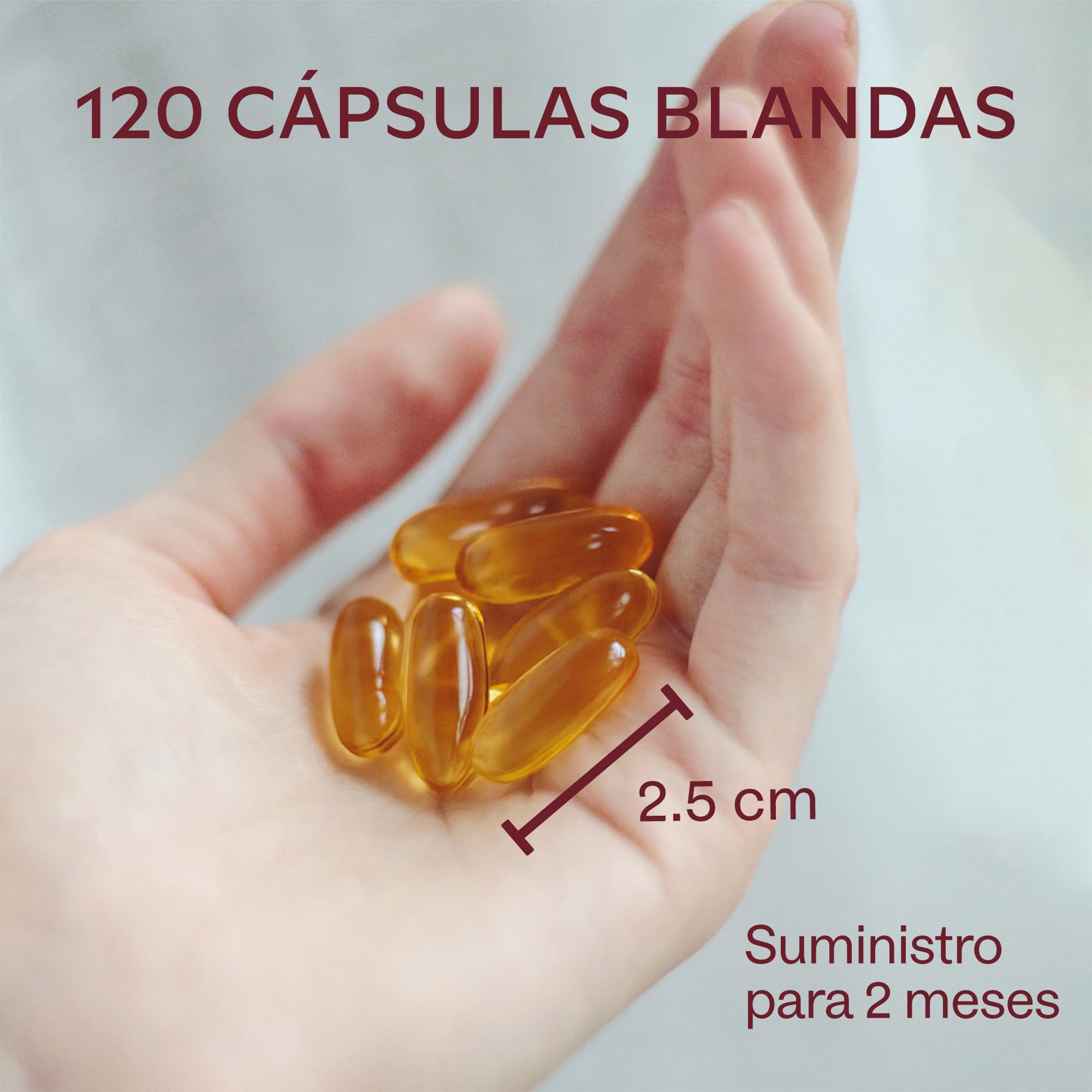 Aavalabs Omega 3 2000mg por dosis diaria (2 cápsulas) - 1000mg de EPA + 500mg de DHA por dosis diaria - Ácidos Grasos de Alta Potencia - Destilado Molecularmente - 120 Cápsulas - 60 días de suministro
