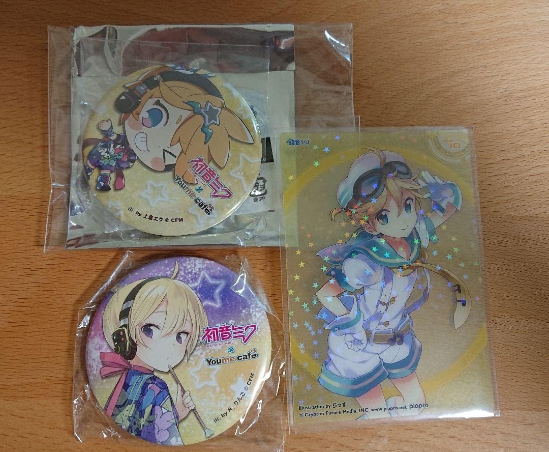 ボタニカルキャンドル バラ かすみ草 ボカロ 鏡音レン 缶バッジ