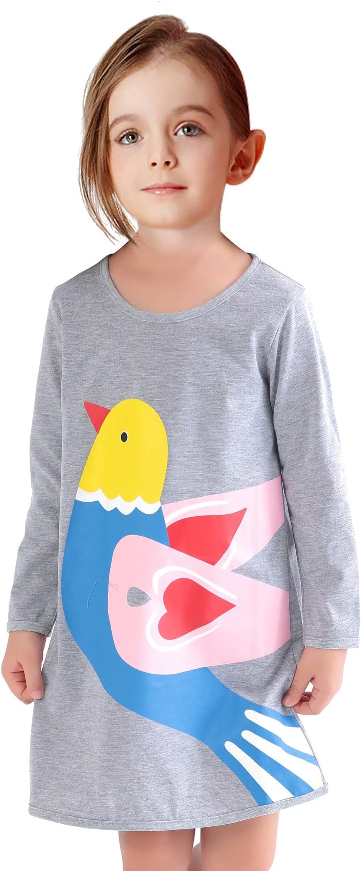 Girls O-Neck Big Bird Printed Long Sleeve Cotton Casual T-Shirt Dress Gray 3 4T