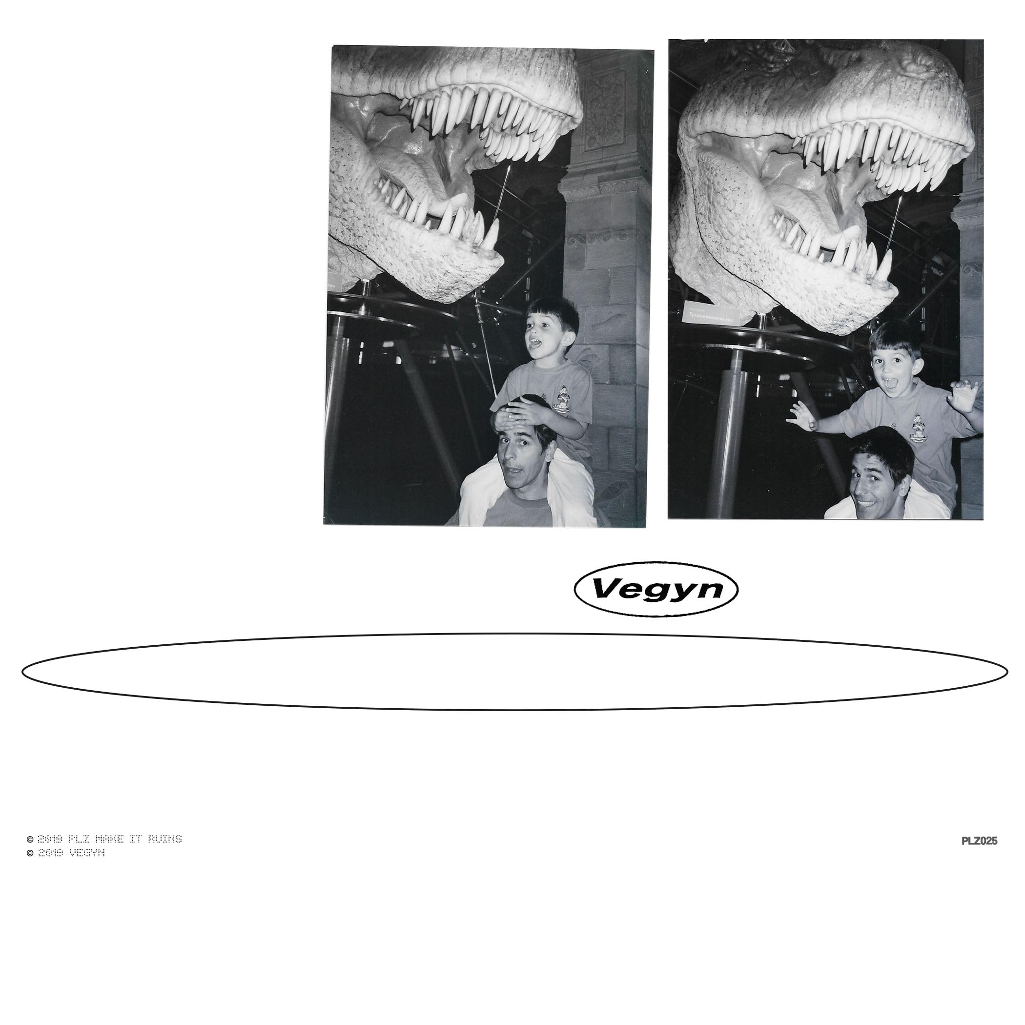 VEGYN - Only Diamonds Cut Diamonds (5 Year Anniversary Edition) - Vinyl (2xLP)