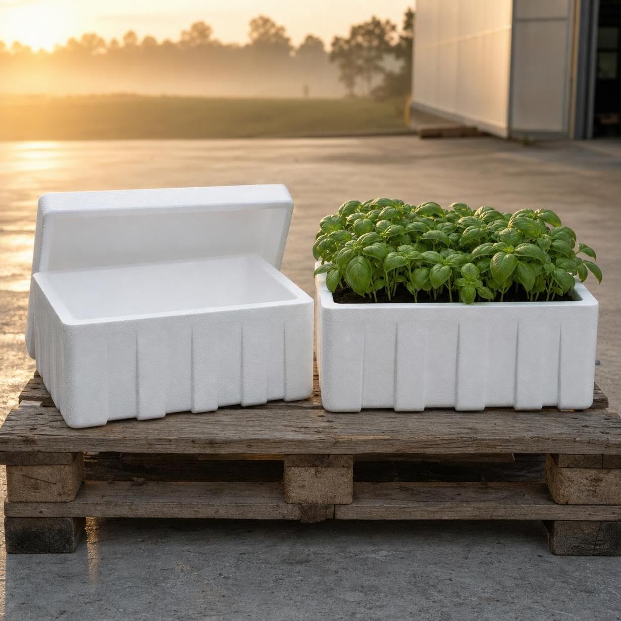 B Baosity Contenedor Almacenamiento con Aislamiento Termico Espuma Robusta y Pares Resistentes para Carne Pescado y sin terioro para eria y Conservacion, Style to 1