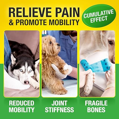 Miniatura 6 de Suplemento de cáñamo para perros  120 golosinas de cáñamo con glucosamina, condroitina, MSM, cúrcuma  Dog Jint Pin Rlief Masticables mejoran la