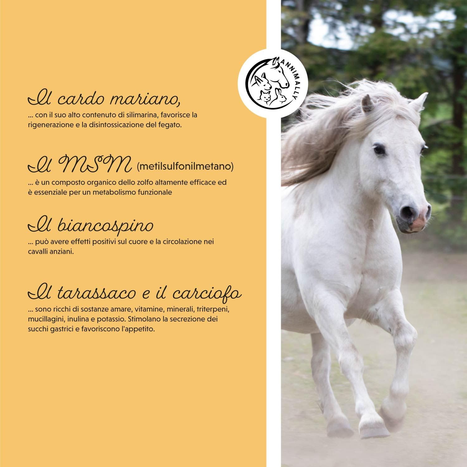 Senior Vital polvere per cavalli con MSM, glucosamina, artiglio del Diavolo - integratore senior per Il supporto di cuore, circolazione, ossa e articolazioni in età avanzata- integratori per cavalli