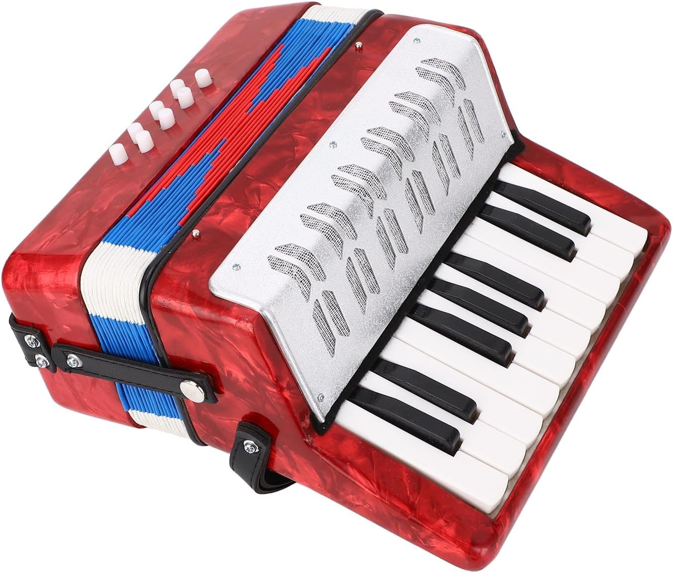 RiToEasysports Piano Accordion, Lightweight 17 Key 8 Bass Student Model with ABS Body Celluloid Decor for Beginners Students Home Practice Music Lessons Travel