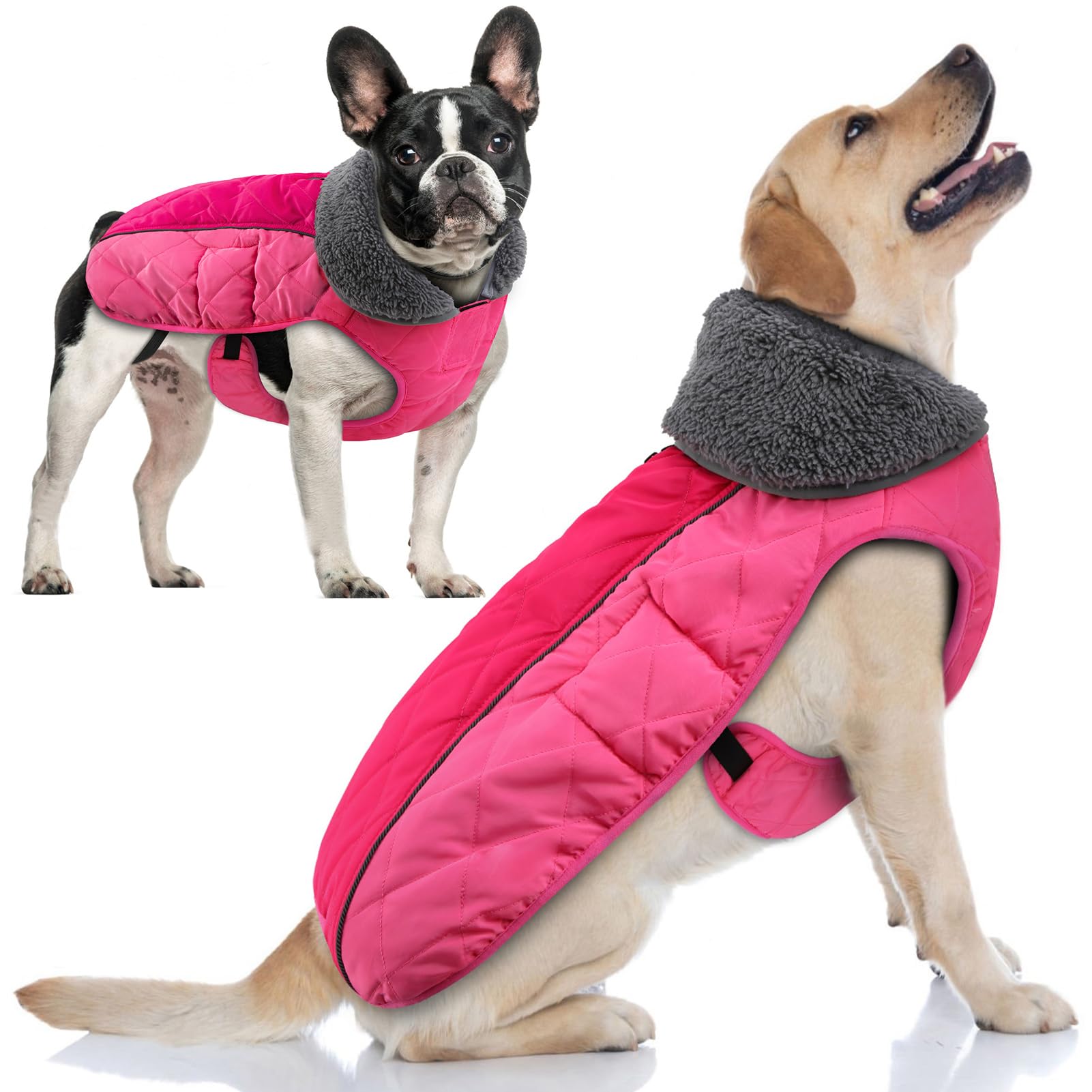 Doglay Dog Winter Coat with Thicken Furry Collar, Fleece Lining Reflective Warm Dog Jacket, Waterproof Adjustable Dog Clothes for Cold Weather, Soft Puppy Vest Apparel for Small Medium Large Dogs