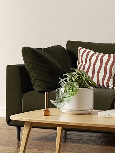 Vista 39 de LE TAUCI - Macetas de 4.5 pulgadas y 5.3 pulgadas y 6.5 pulgadas maceta con agujeros de drenaje y platillos de cerámica, con bandeja, macetas