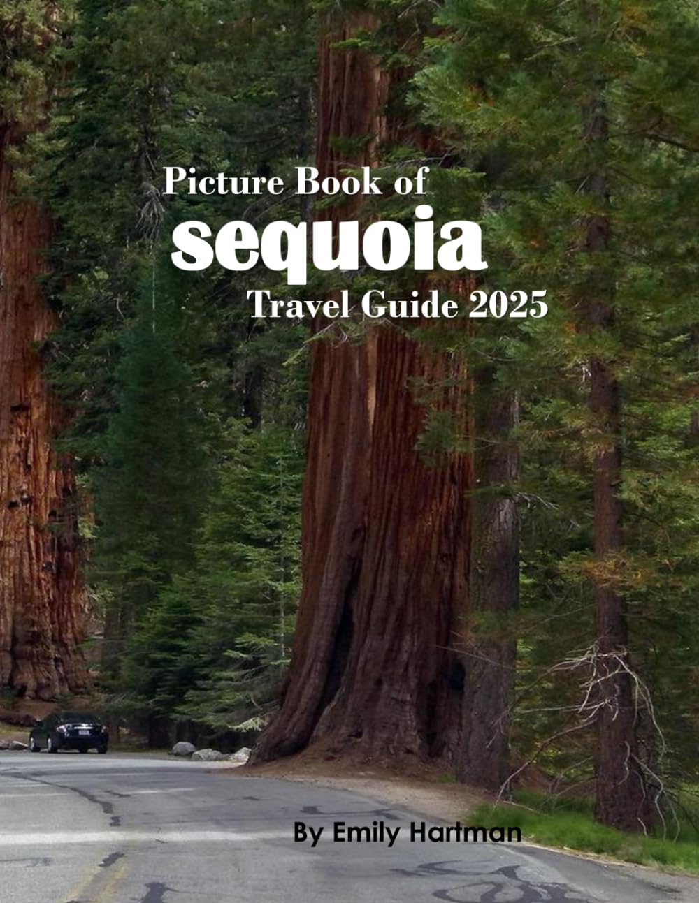 Sequoia National Park: A Beautiful Visual Journey for Travel and Photography Lovers