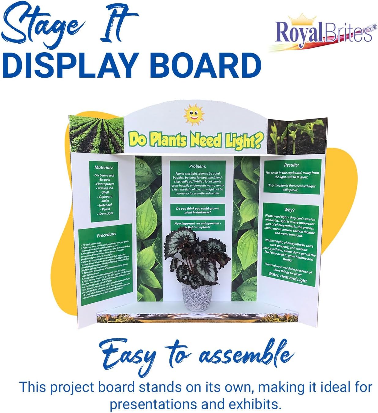 Royal Brites Stage-It Display Board, 37" x 44" 5 Pack Tri-fold Presentation Board with 3D Pop-Out Header & Shelf, White Corrugated Board for Science Fairs, School Projects, Work Presentations - 5 Pack